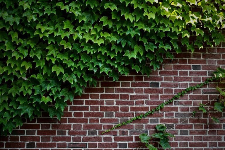 retaining walls on a beautiful home